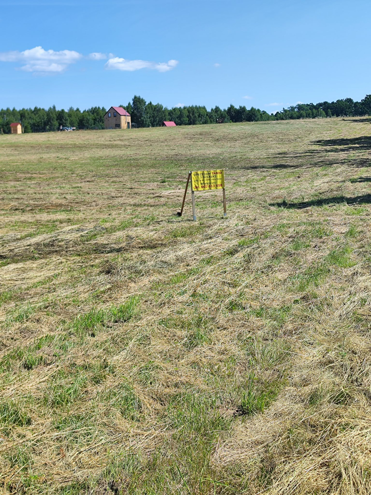 Działka na sprzedaż – widok w stronę zabudowy i lasu